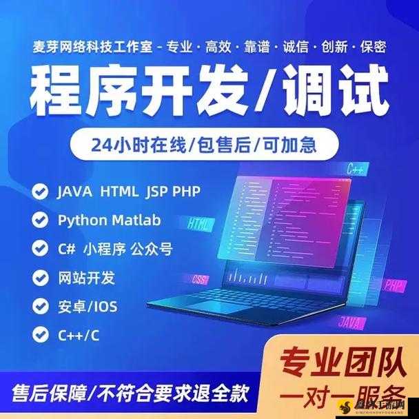 java 成品网站高效开发与应用