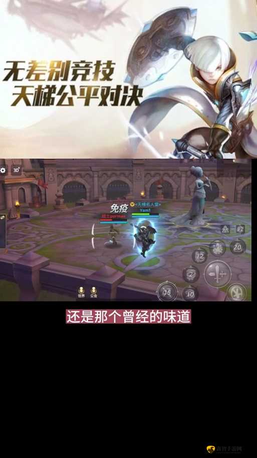 天梯对决解析：龙之谷手游魔导VS战士 2V2战术攻略与技巧推荐