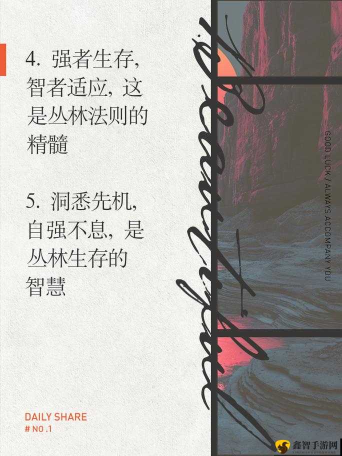 丛林解析：探索最佳选择，你的生存利器推荐