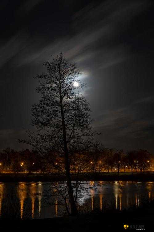 适合夜晚独享的影单：沉浸在静谧的光影世界