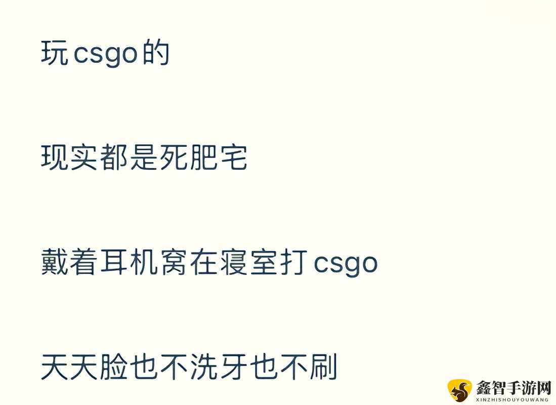 暴躁老阿姨的CSGO秘籍-实战技巧全攻略