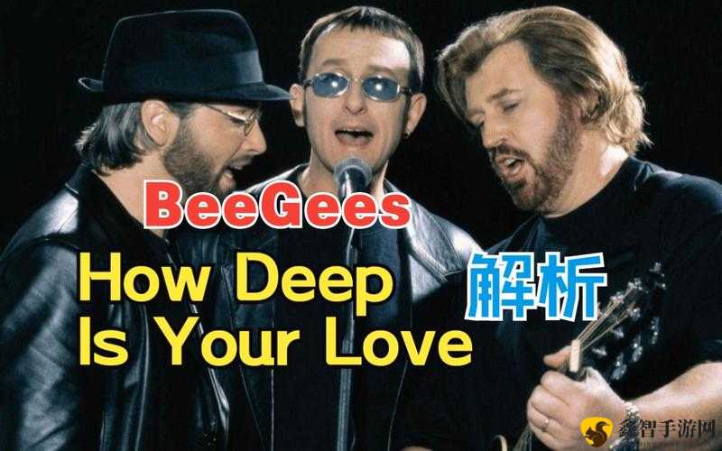 beegeeshowdeepisyourlove 背后的故事