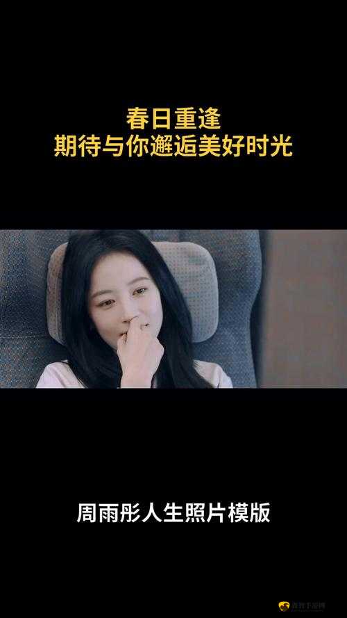 插曲视频在线观看免费版高清：邂逅美好时光