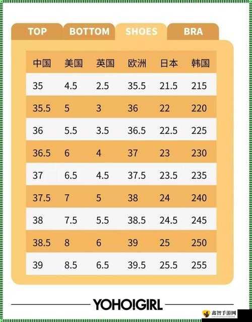 日韩码一码二码三码区别之深度剖析