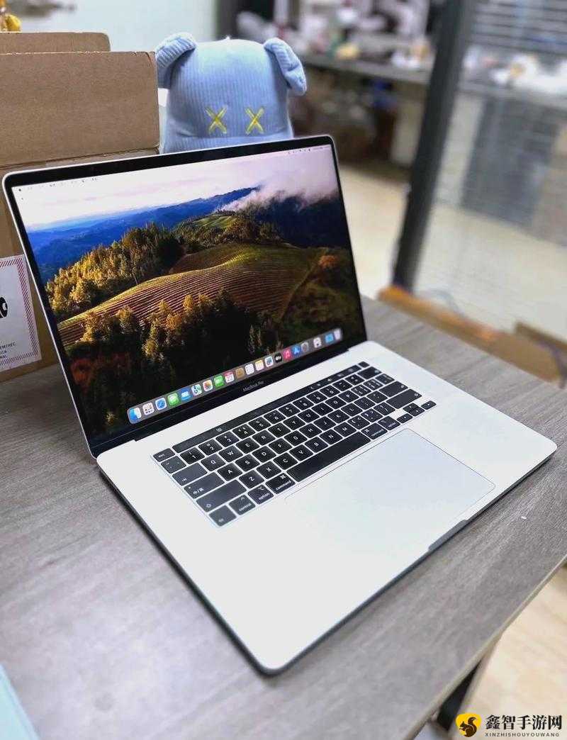 19 岁 MACBOOKPRO 欧美：青春与科技的交融