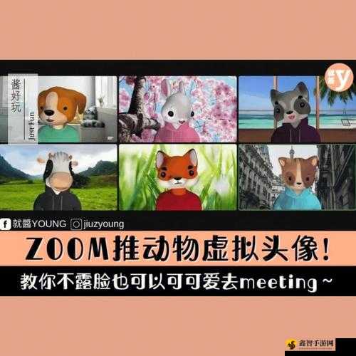 ZOOM 动物合集 VERDEOS：精彩瞬间