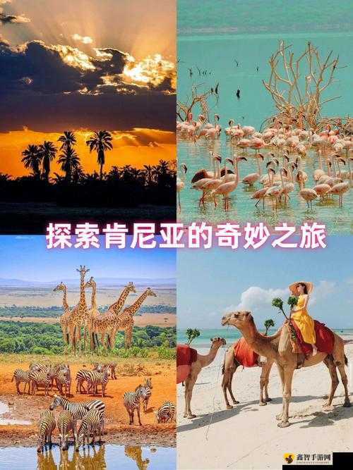 探索 ZZZFUN 的奇妙之旅