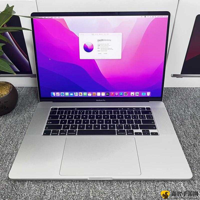 16 岁 macbookpro 日本成功发布新栏目：引发关注