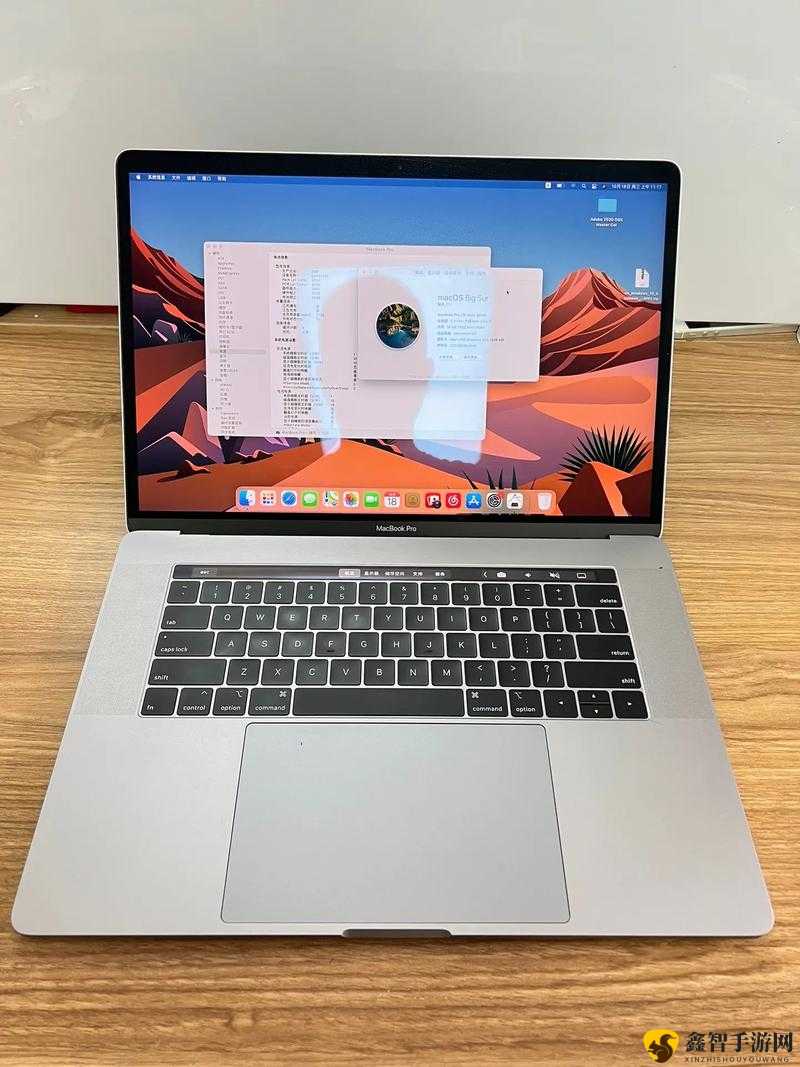 18-19macbook-pro 美国产品相关信息