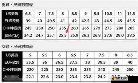 三叶草 M 码和欧洲码区别：解析与对比