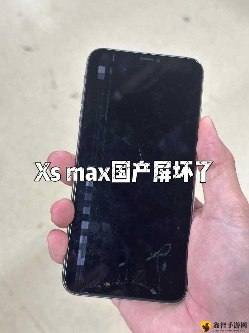 JAGNEXSMAX 欧美相关内容及探讨