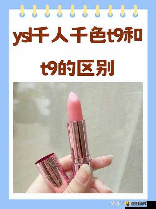 ysl 千人千色 t9t9t9t9t9mba 系列：魅力彩妆