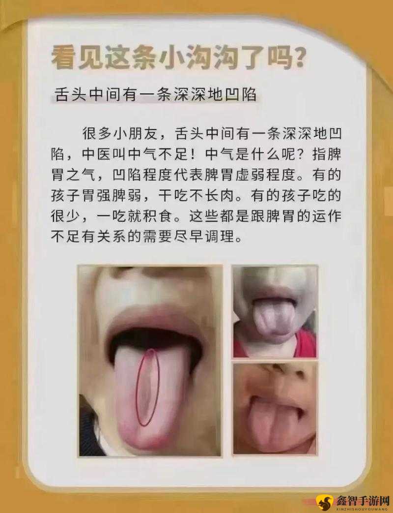 河南妇女毛深深的沟 WCD：探索女性身体的奥秘