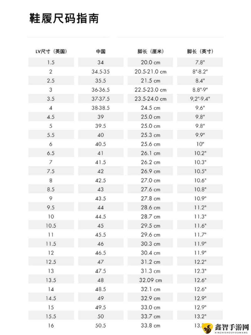 欧洲 lv 尺码大：探究其背后的原因