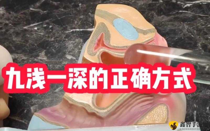 九浅一深的含义究竟是什么