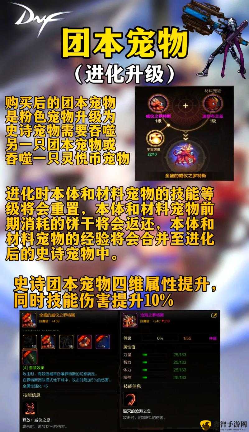 斗罗大陆灵魂石能提升实力的奥秘