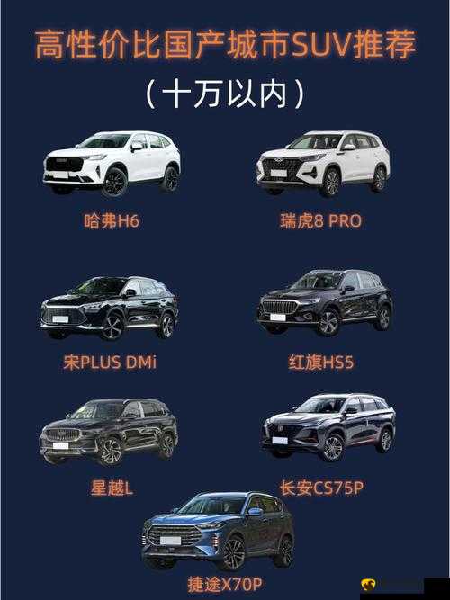 国产 SUV 精品一区二区：优质车型推荐