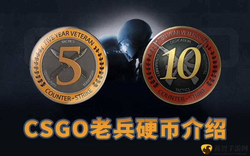 CSGO 十周年生日硬币怎么获得之攻略