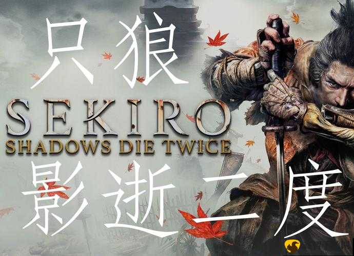 《只狼：影逝度》Steam版游戏名字解析与推荐独特游戏名字揭秘《影刃之狼》的魅力所在