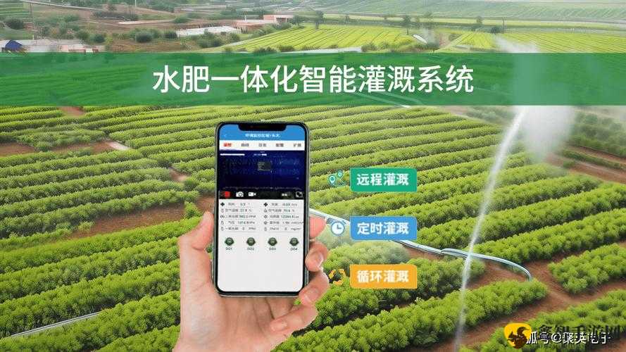 jy 灌溉收集系统：高效农业的得力助手