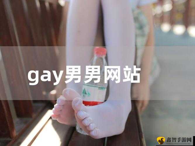 男同志网站：探索别样精彩世界