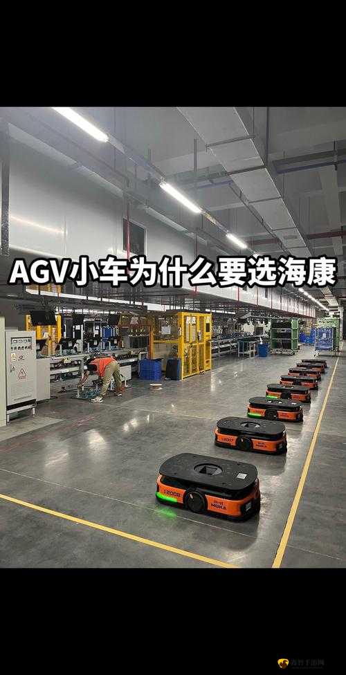 AGV 亚洲版和欧洲版买哪个：详细对比与选择建议