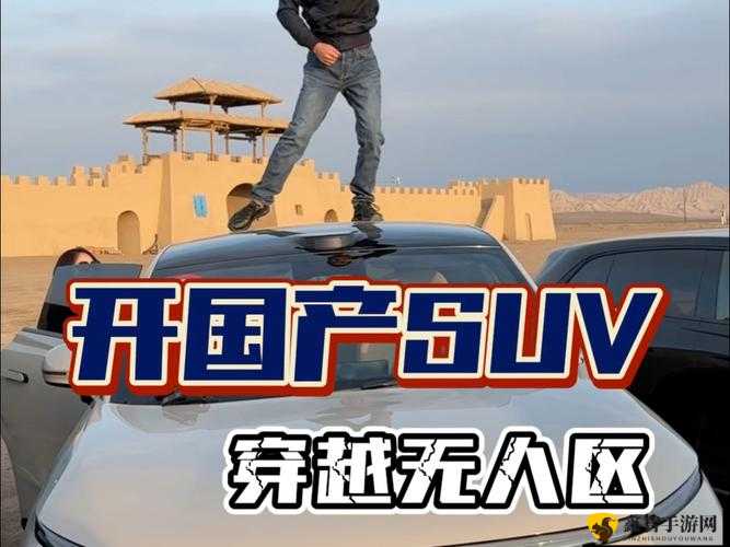 国产无人区码 SUV：探索脆弱背后的奥秘