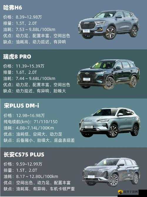 497799 欧洲版国产 SUV 车型详细解析