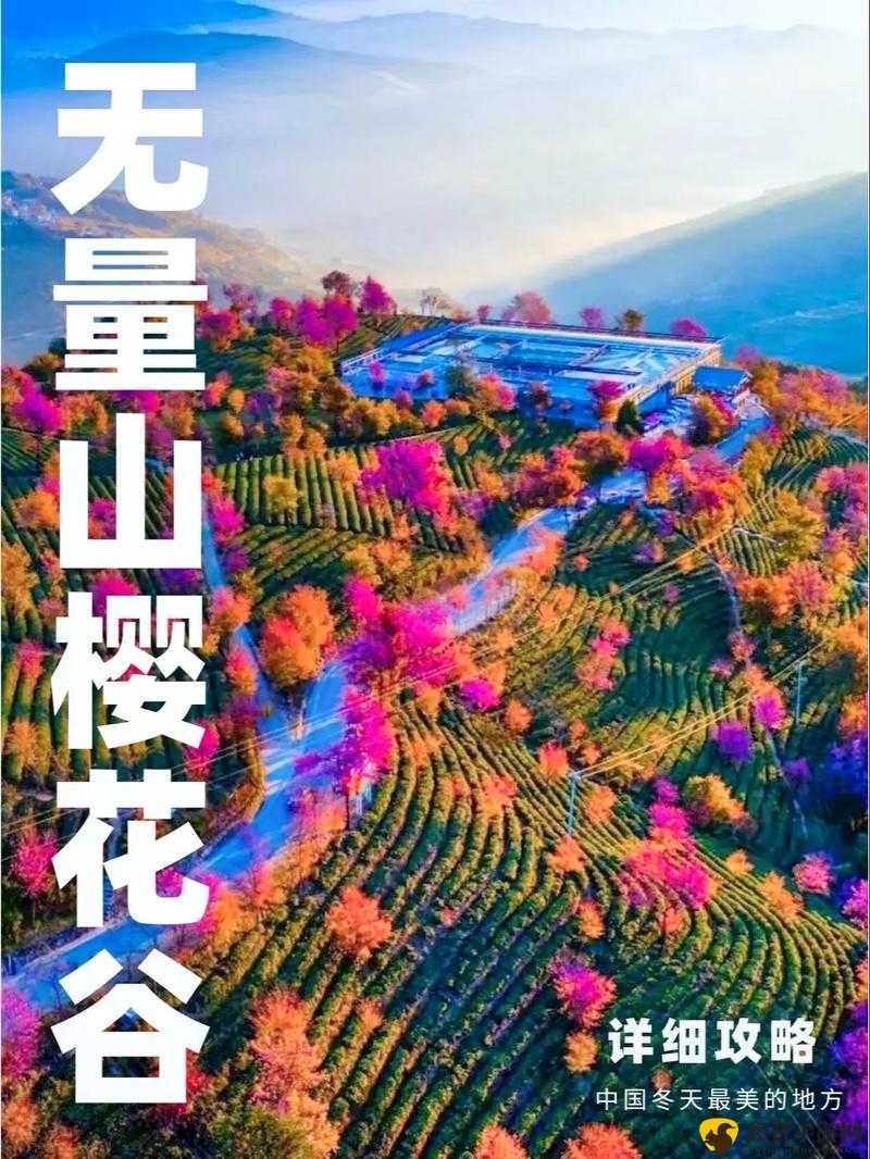 全民斗战神：神之猎场攻略——玩转玩法