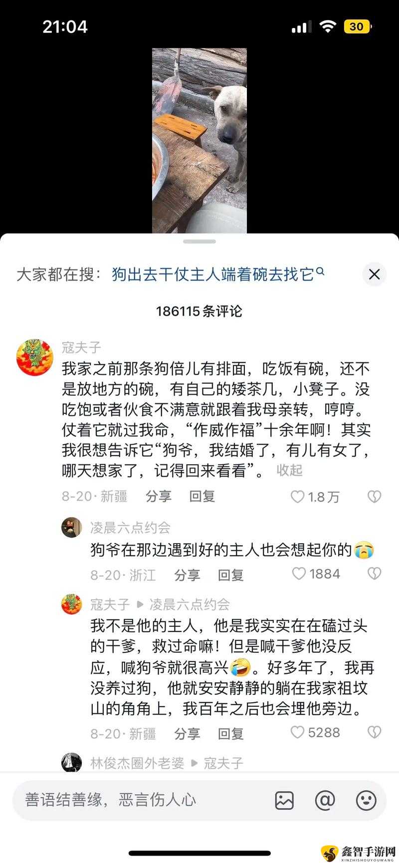 狗爷城中村国际在线观看：精彩不容错过