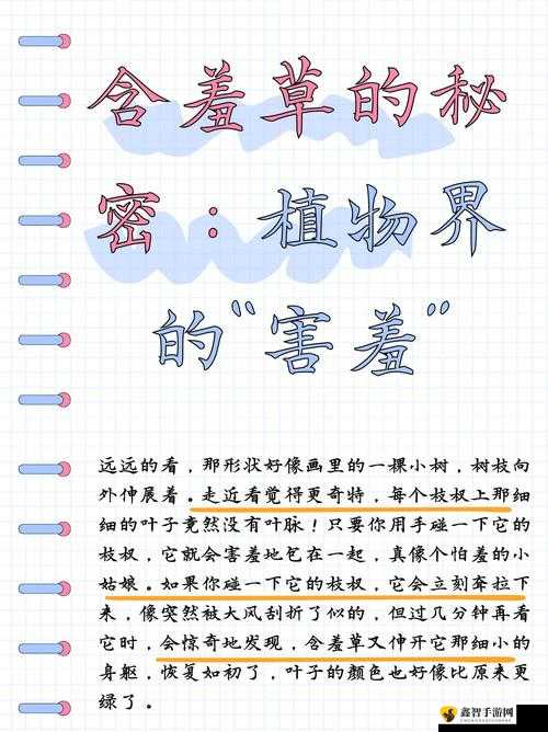 含羞草实验所隐藏 2024：背后的秘密