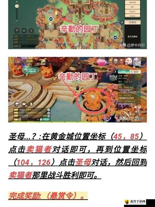 梦想新大陆：情侣玩法，寻爱秘籍大放送