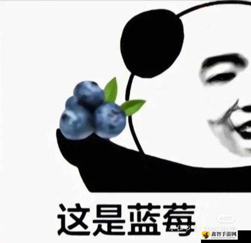 女生啊～你tm别了蓝莓：令人费解的话语